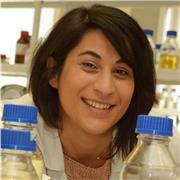 Metto a disposizione le mie conoscenze per te